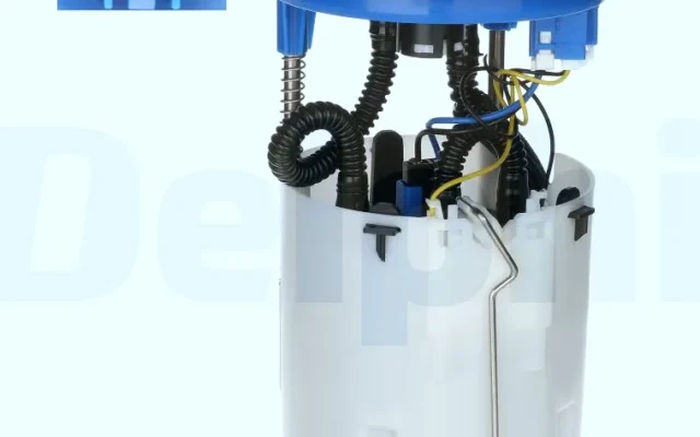 DELPHI FG244912B1 Depo Şamandırası