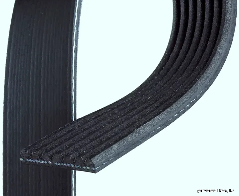 GATES 7PK1165 V Kayışı - GATES - 7PK1165